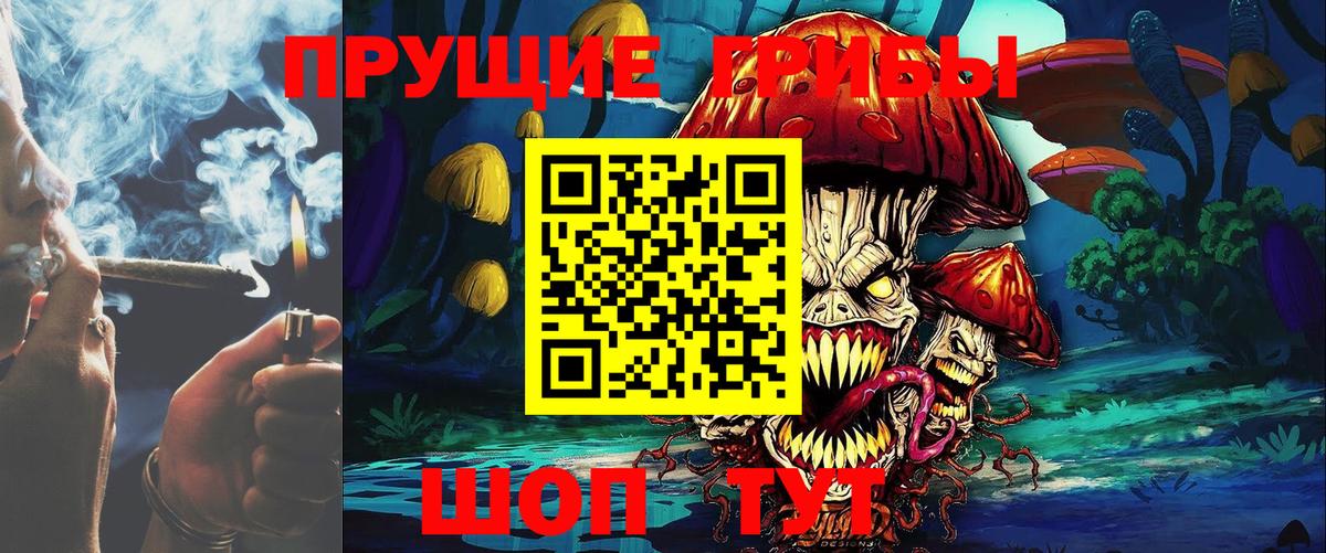Псилоцибиновые грибы Cubensis  Вход с VPN  Архангельск 